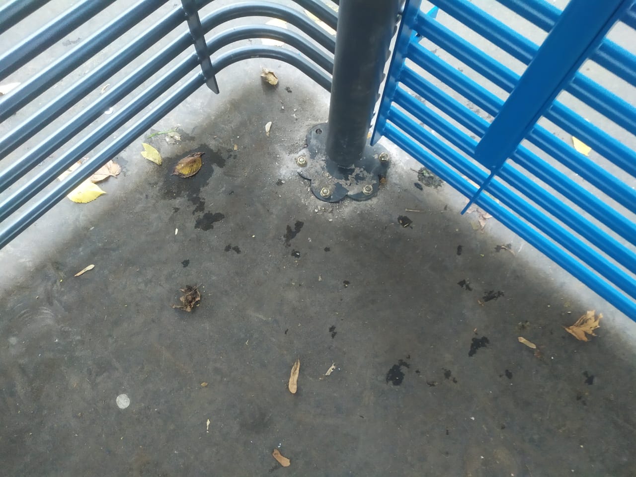 WhatsApp-Image-2024-11-02-at-17.30